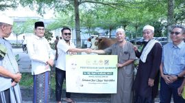 Sapi kurban yang disalurkan Wakil Ketua DPR RI Sari Yuliati diberikan ke Masjid Agung Praya, Lombok Tengah.