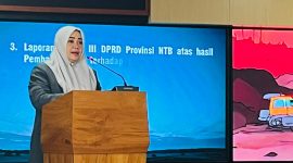 Wakil Gubernur NTB Indah Dhamayanti Putri