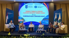 Hilirisasi tambak udang. (humas pemprov ntb)