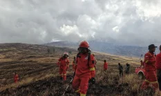 Kebakaran Hanguskan 1.956 Hektare Savana Tambora, Tim Gabungan Intensifkan Pemadaman