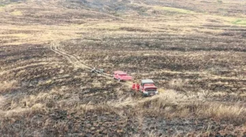 Kebakaran 1.956 Hektare TN Tambora Ancam Cagar Biosfer UNESCO dan Ekonomi Warga