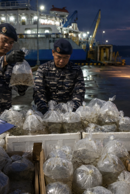 Lanal Mataram Gagalkan Pengiriman 10.000 Benih Lobster di Pelabuhan Kayangan