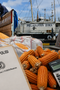 Anak Eks Bupati Bima Dilaporkan dalam Kasus Bisnis Jagung Rp 3,8 Miliar