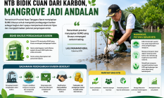 NTB Bidik Cuan dari Karbon, Mangrove Jadi Andalan