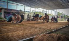 Lapas Lombok Barat Bekali Warga Binaan Olah Serabut Kelapa Jadi Coco Net