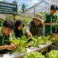 Ilustrasi petani muda