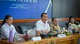 Gubernur NTB dalam reses Komisi VII DPR RI