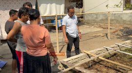 Budi daya magic mushroom yang diungkap polisi di Lombok Utara.
