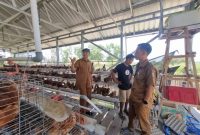 Program Desa Berdaya