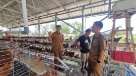 Program Desa Berdaya