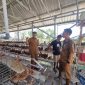 Program Desa Berdaya